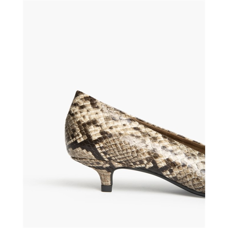 zapato tacón bajo